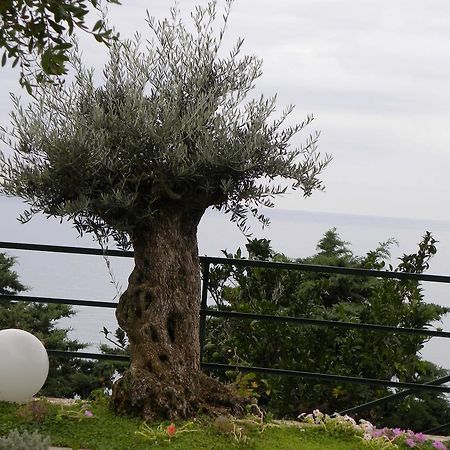 Corte Del Gallo Corniglia Εξωτερικό φωτογραφία