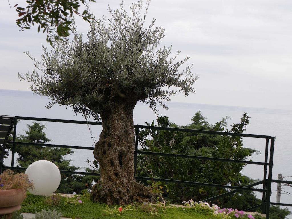 Corte Del Gallo Corniglia Εξωτερικό φωτογραφία